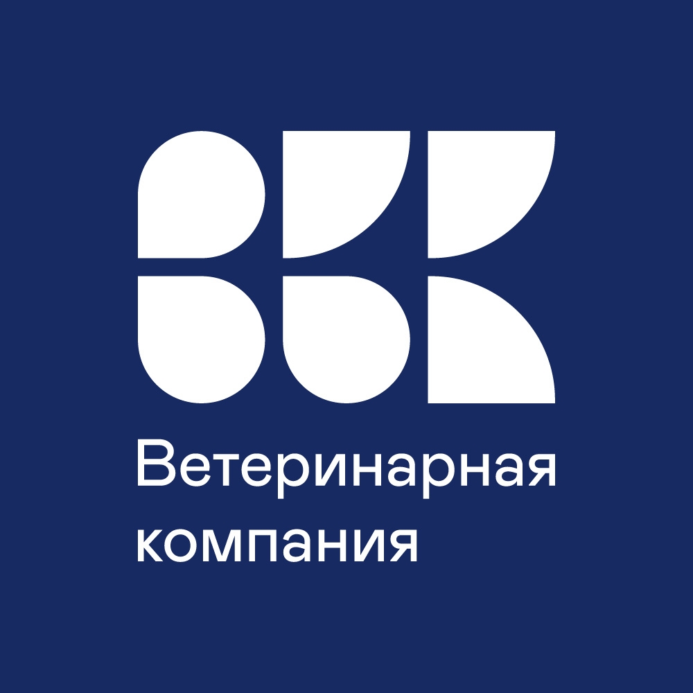 Логотип ВыЗов Высоковск 