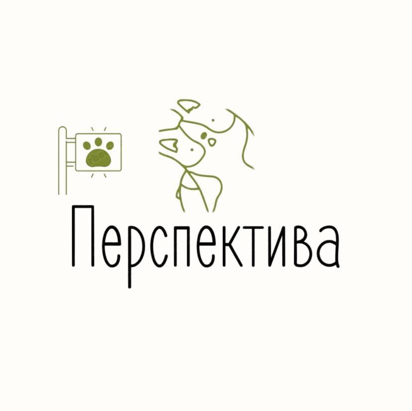 Логотип Перспектива
