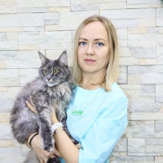 Фото Спиридонова Екатерина Евгеньевна