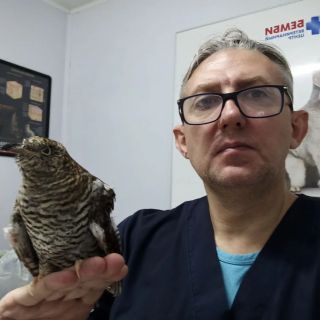 Фото Чугуевский Владимир Владимирович