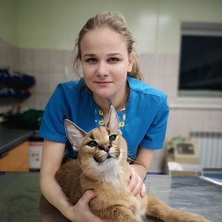 Фото Нечесова Анастасия Павловна