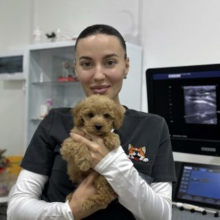 Фото Котельникова Марина Александровна