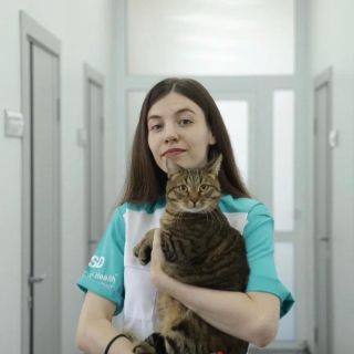 Фото Дюжина Алиса Александровна
