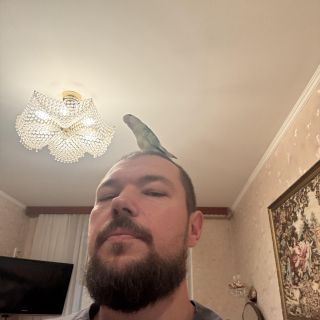 Фото Глущенко Максим Алексеевич