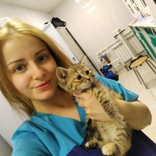 Фото Новикова Светлана Александровна
