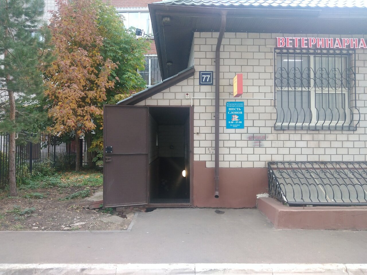 Шесть Слонов