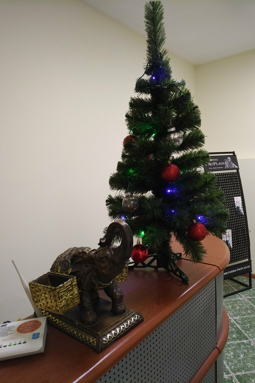 more clinic photos 43414