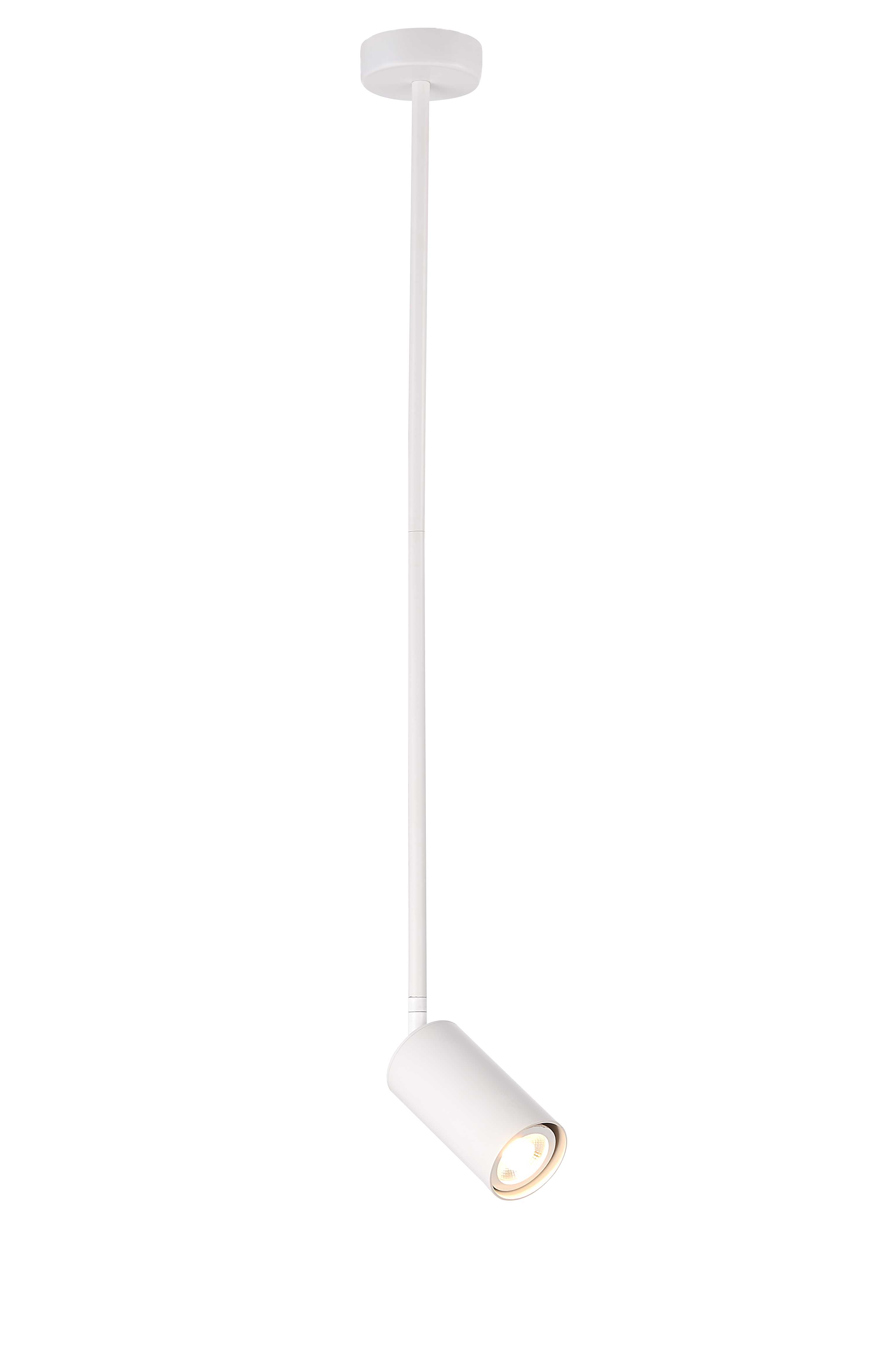 P070DW/1 WHITE (1) Светильник (NW)