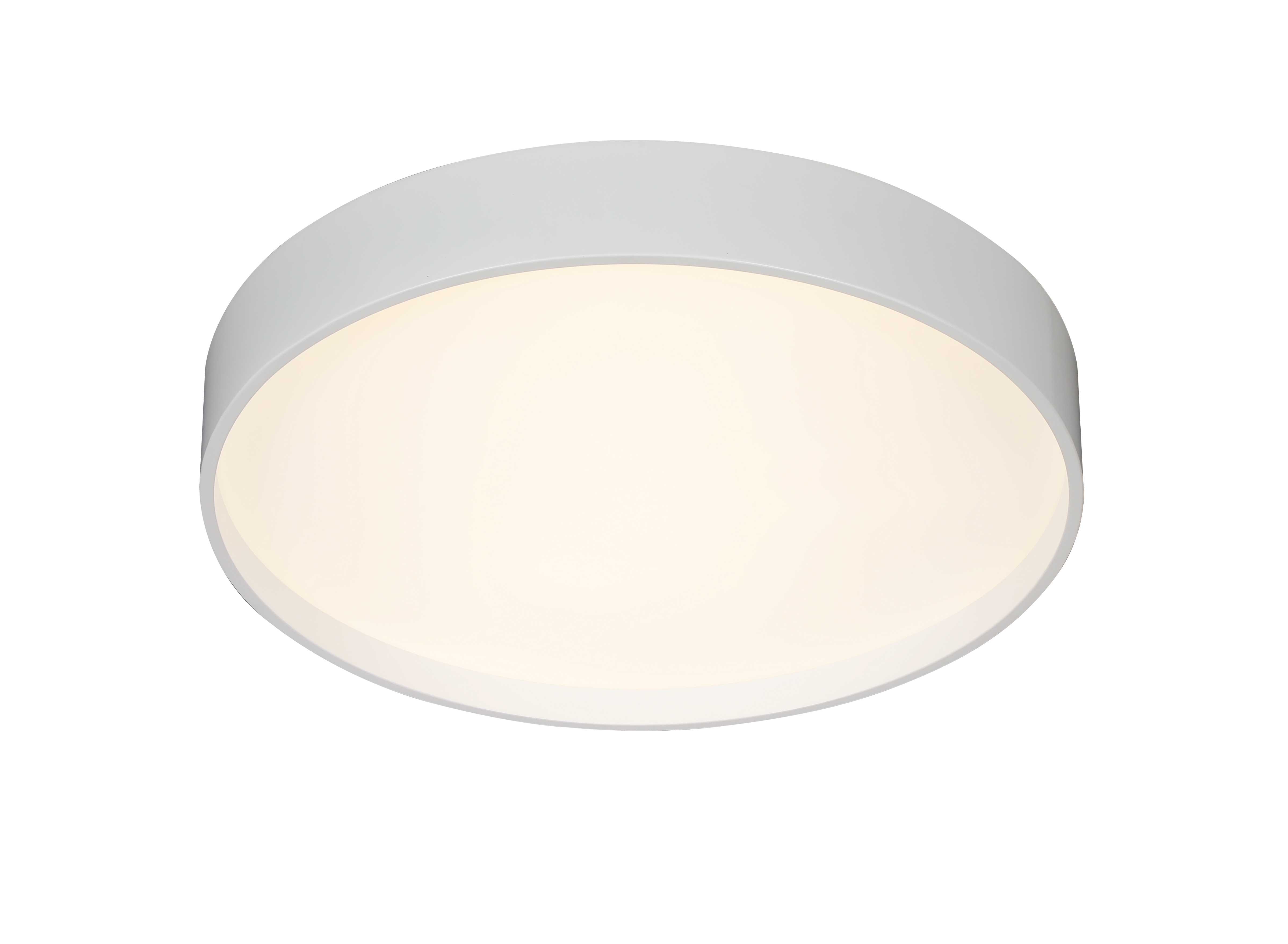2541/600 WHITE (1) Потолочный светильник (RL) #