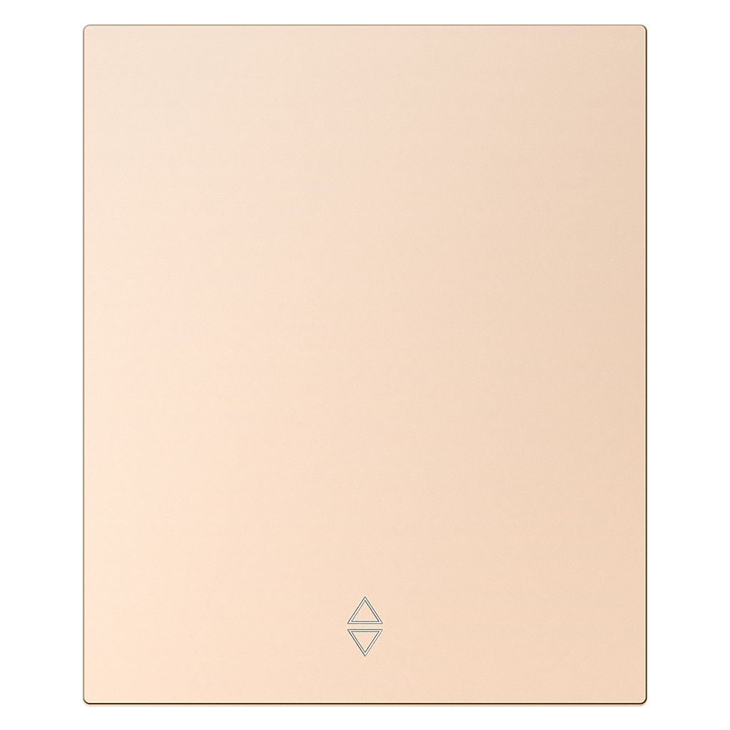 Выключатель проходной 1-клавишный модульный 10А шампань акрил «Альтаир» (SBE-m11ia-10-SW12-0)