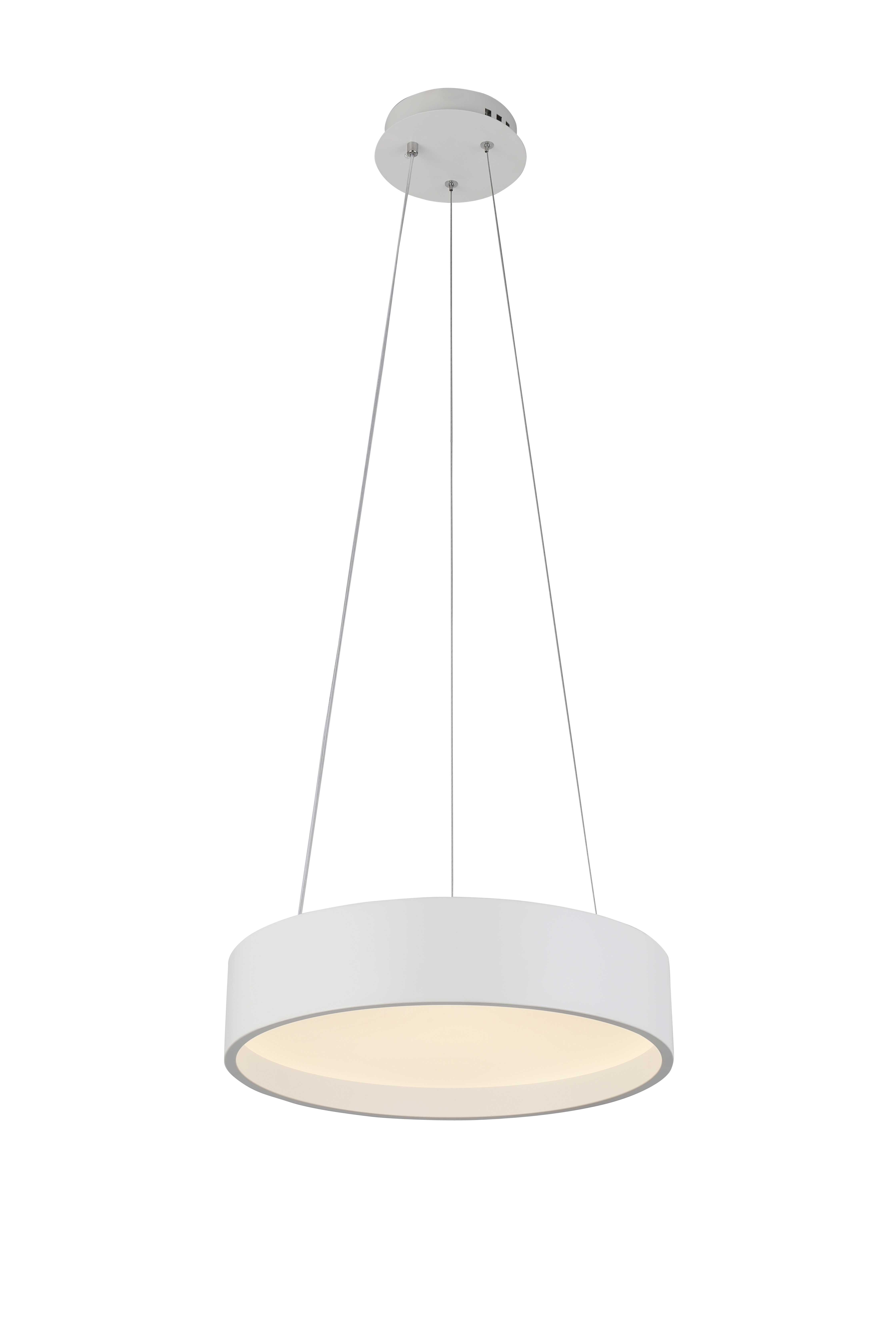 2541/400P WHITE (1) Подвесной светильник (RL) #