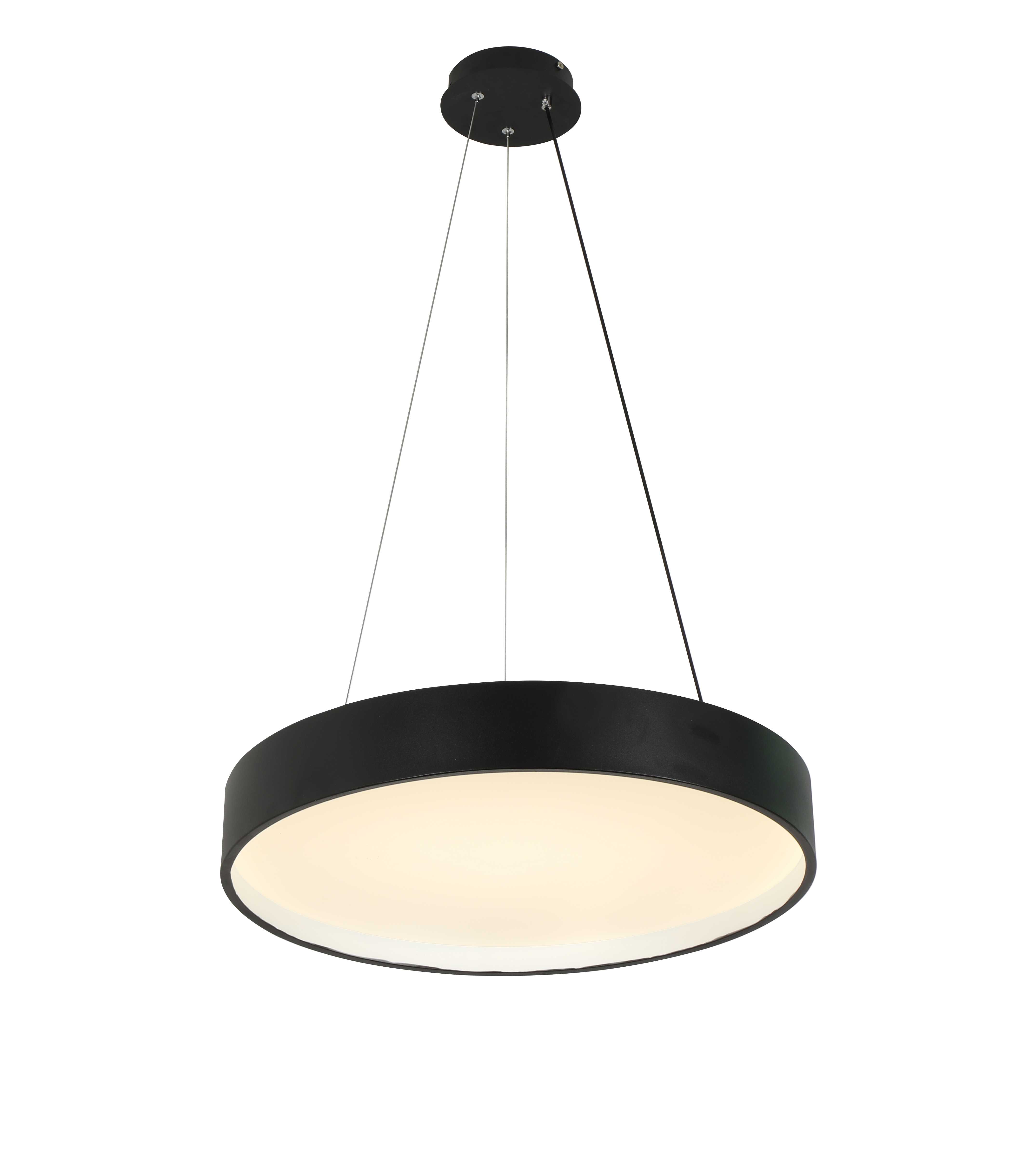 2541/400P BLACK (1) Подвесной светильник (RL) #