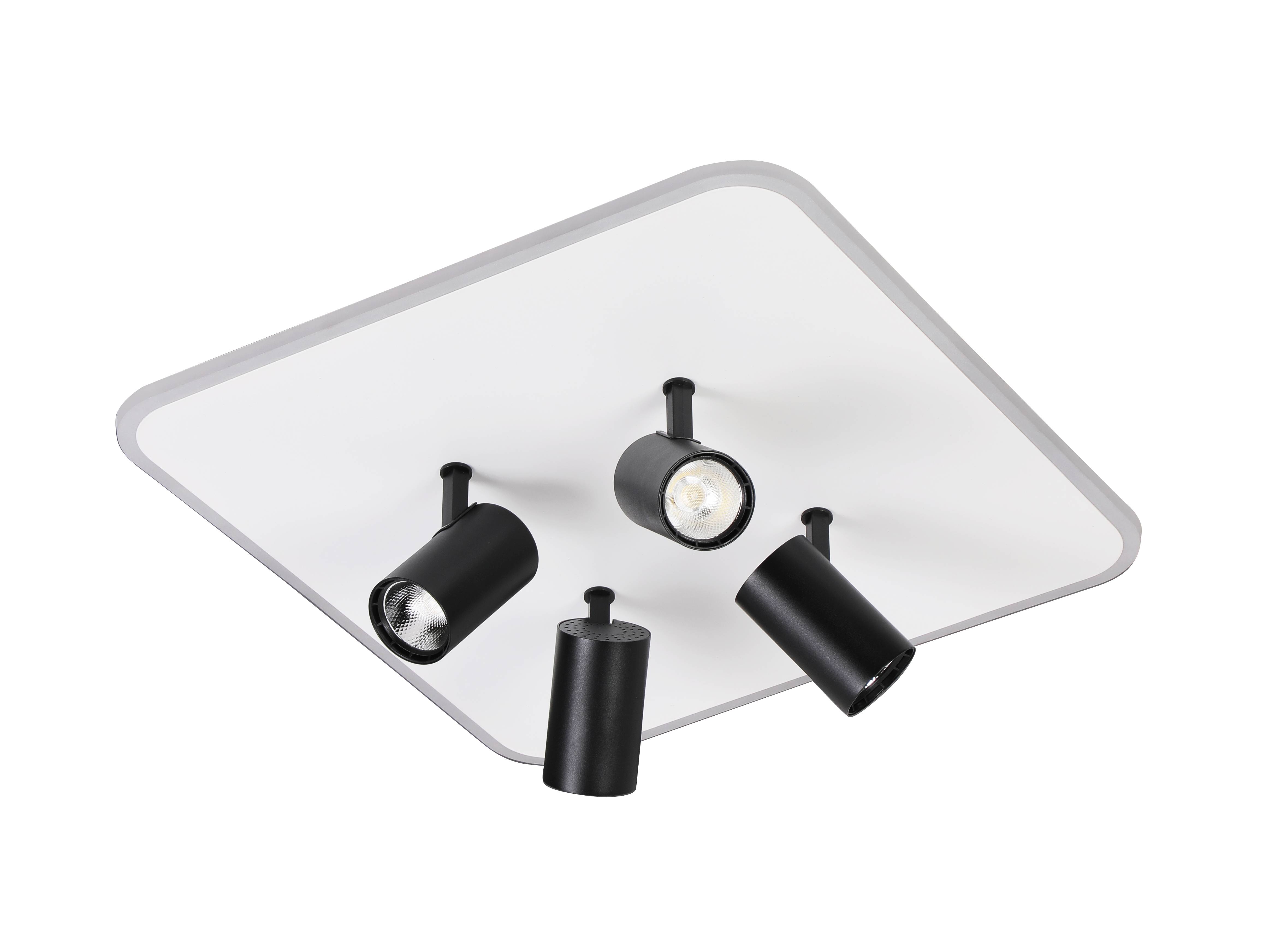 2468/480 WHITE+BLACK (1) Люстра (RL) #