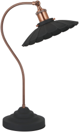 HN2342 SBK+RC (1) Наст. лампа NW