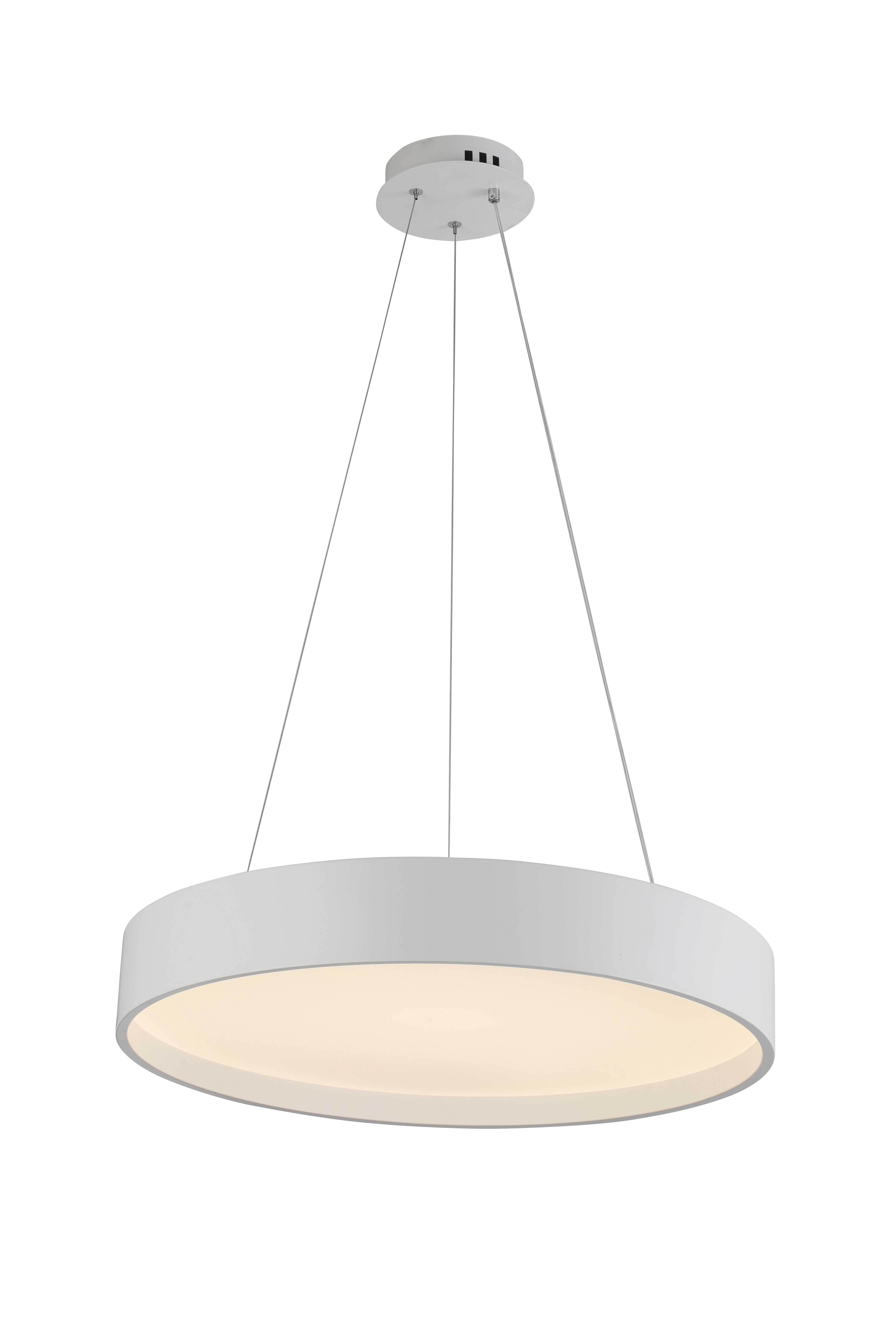 2541/600P WHITE (1) Подвесной светильник (RL) #