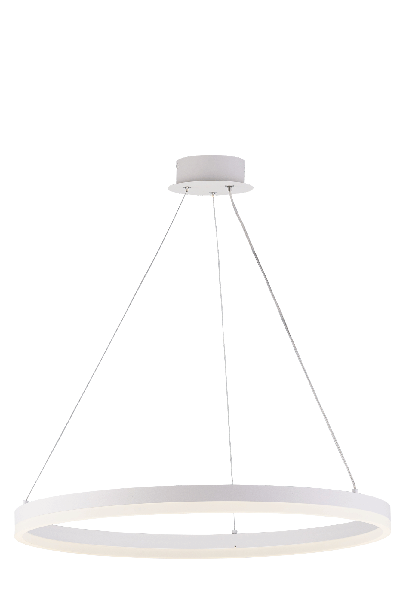 20214-6 SWT (1) Светильник (RL)