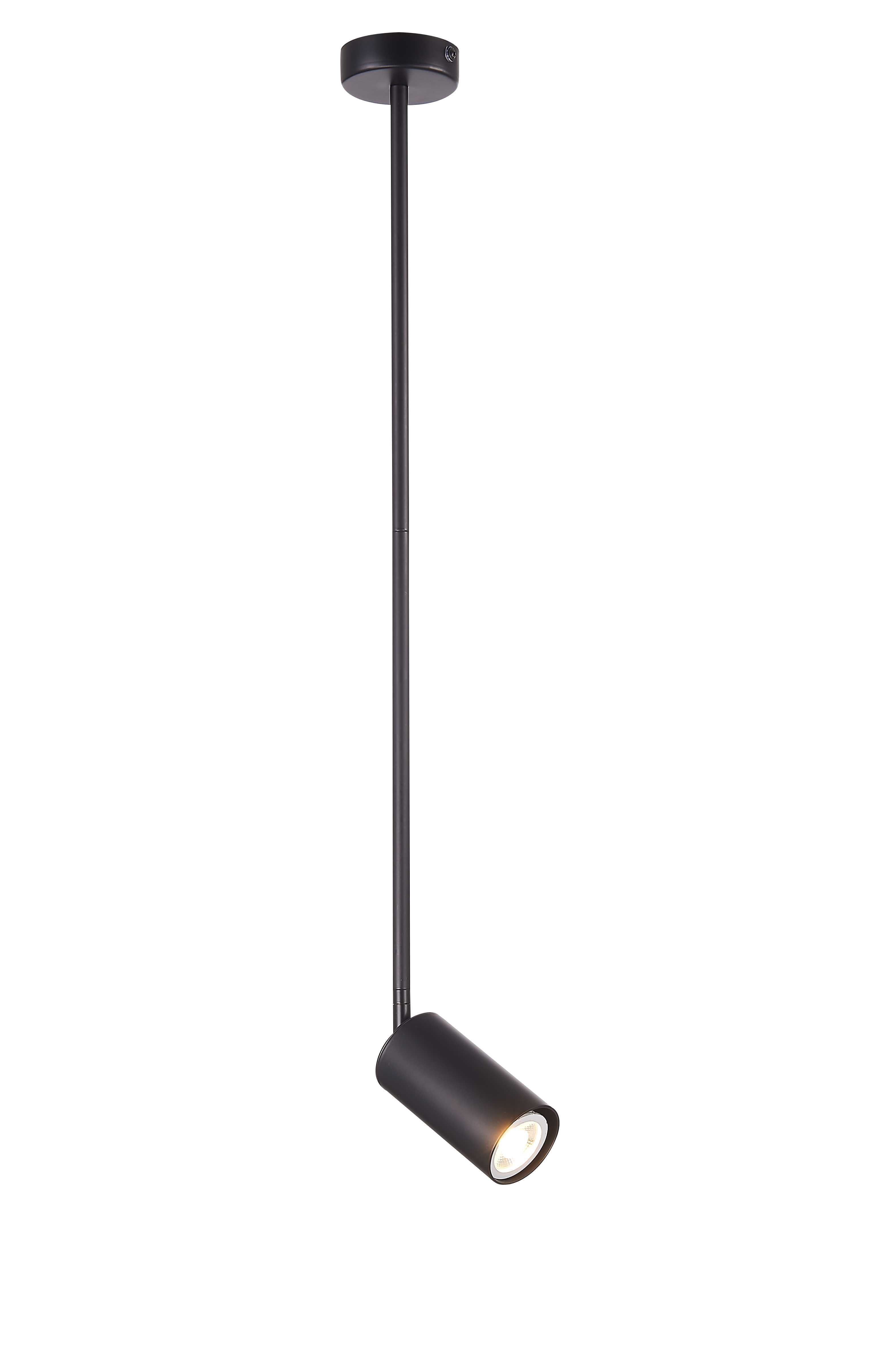 P070DW/1 BLACK (1) Светильник (NW)