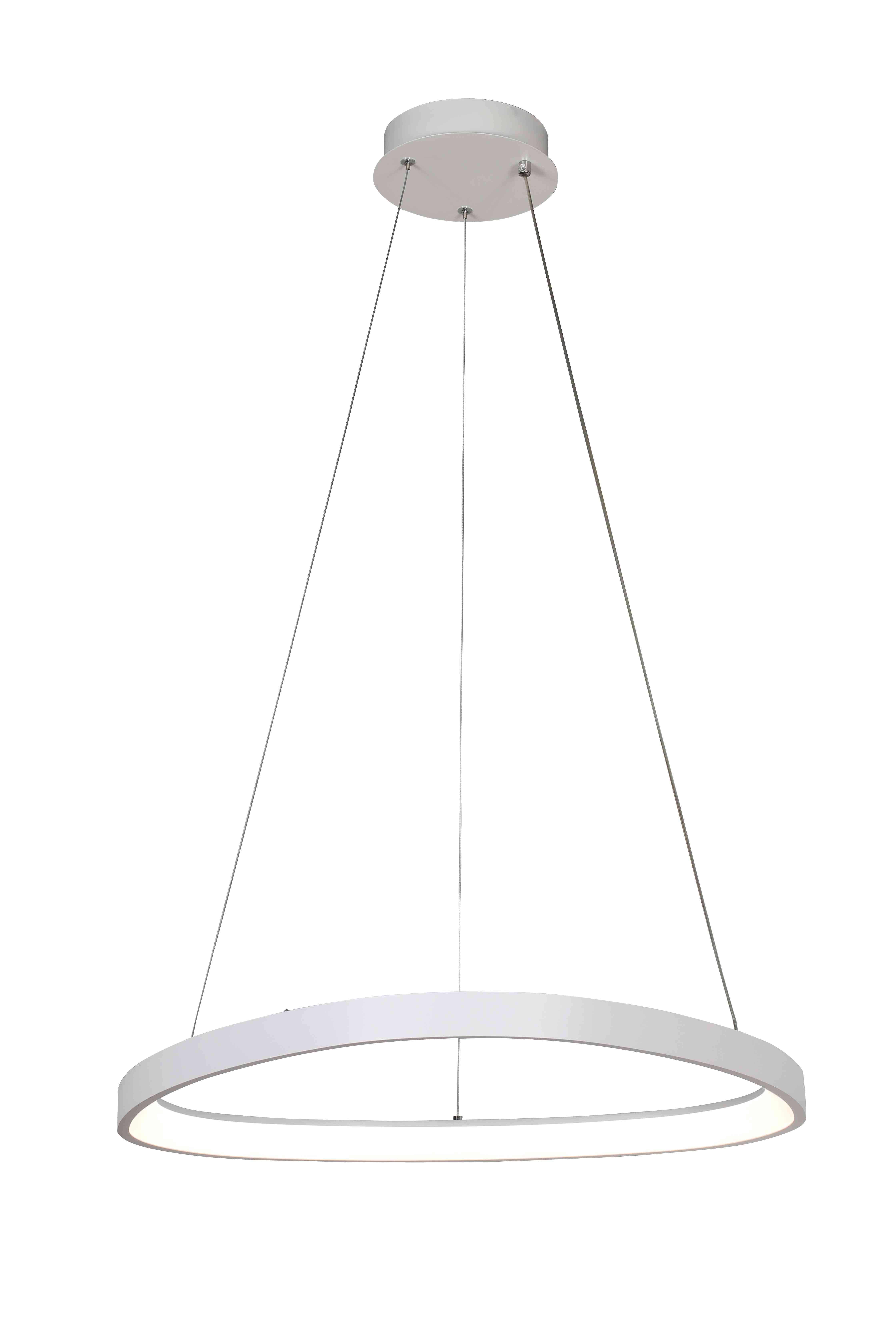 2550/650P WHITE (1) Подвесной светильник  (RL) #
