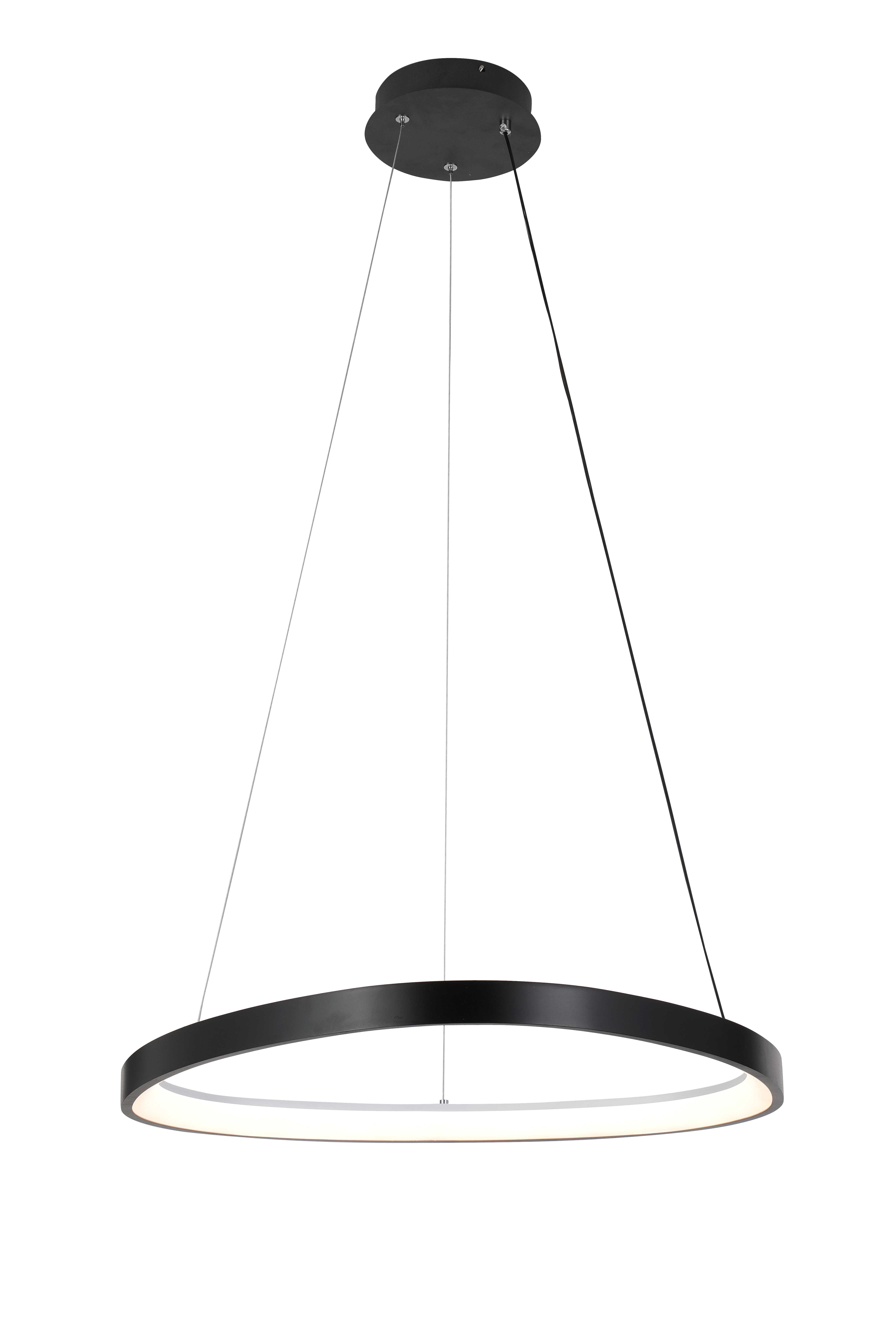 2550/650P BLACK (1) Подвесной светильник  (RL) #