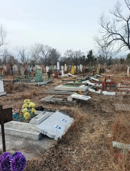 В Хакасии вандалы разрушили более 20 надгробий на старом кладбище в Черногорске