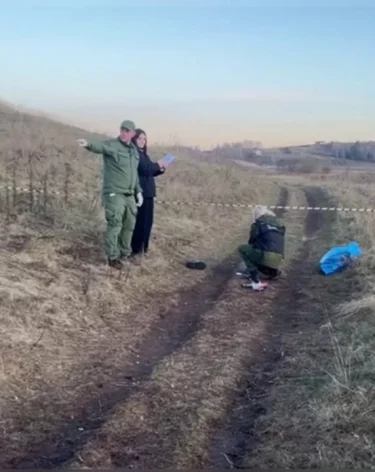 В Красноярском крае задержали председателя общественной организации по делу о гибели подростка от бродячих собак 