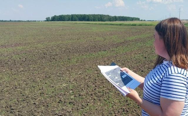Омская область выделила аграриям 2,6 тысячи гектаров земли