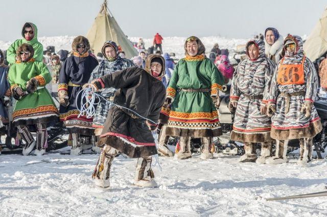 Ученые Сибирского федерального университета подвели научную основу под традиционную медицину малочисленных народов Сибири 
