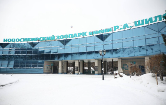 В Новосибирском зоопарке началась масштабная реконструкция к 80-летию