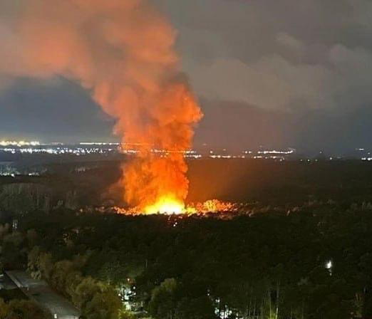 Обновлено: В ночном пожаре в Новосибирском зоопарке погибли корова, бык, две ламы и альпака