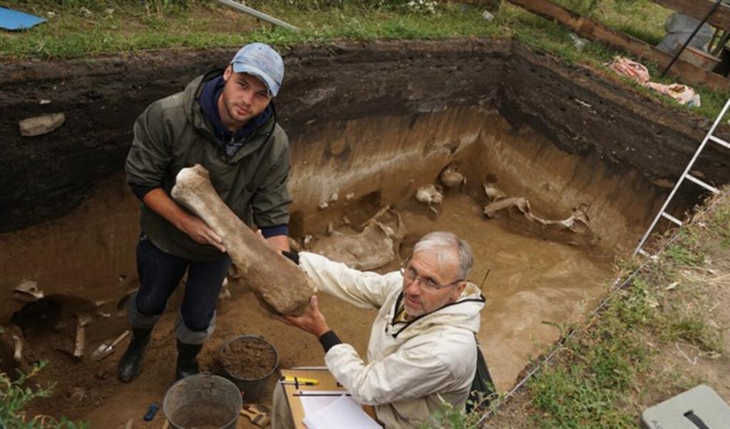 Раскопки в Новосибирской области