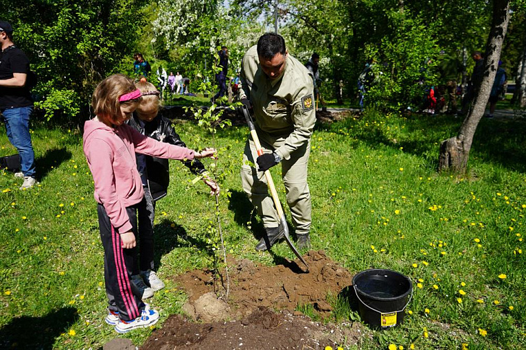В Иркутске волонтёры высадили 100 деревьев в Лисихинском парке