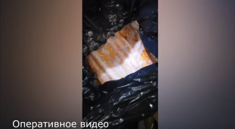 Красноярец наловил рыбы на семь миллионов рублей