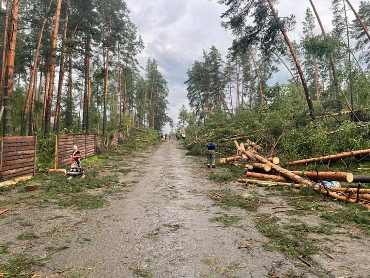 В Республике Алтай после сильного шторма энергетики восстановили электроснабжение Чемальского района