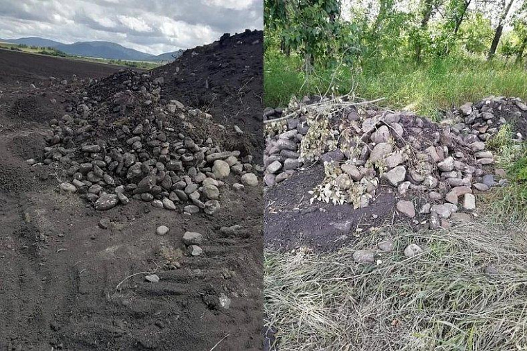 Древний могильник «Красный городок» перепахали неустановленные трактористы на Алтае, возле Белокурихи