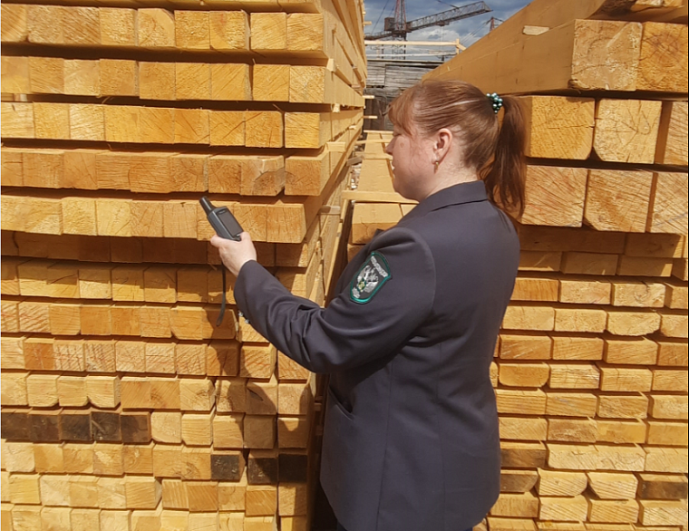 За 8 месяцев Китай вывез из Красноярского края 77% экспортной древесины, а Россельхознадзор проверил 5,2 млн кубометров лесопродукции