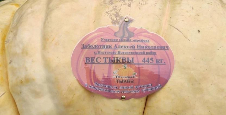 Житель Кузбасса Алексей Заболотник вырастил тыкву весом 445 килограммов и установил новый рекорд