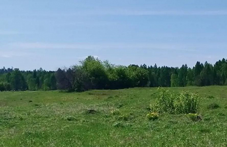 Казаки Братского района рискуют лишиться 67,2 га из‑за долга почти в 500 тыс рублей