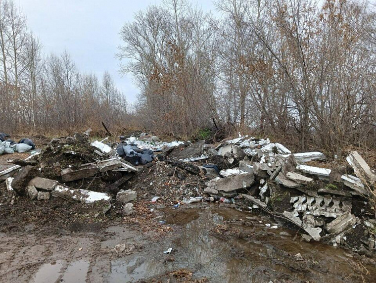 Крутихинский район Алтайского края заплатит 11,6 млн за загрязнение почв