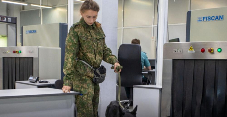 Число авиапассажиров прямых рейсов из Сибири в Китай за два месяца выросло на 40%