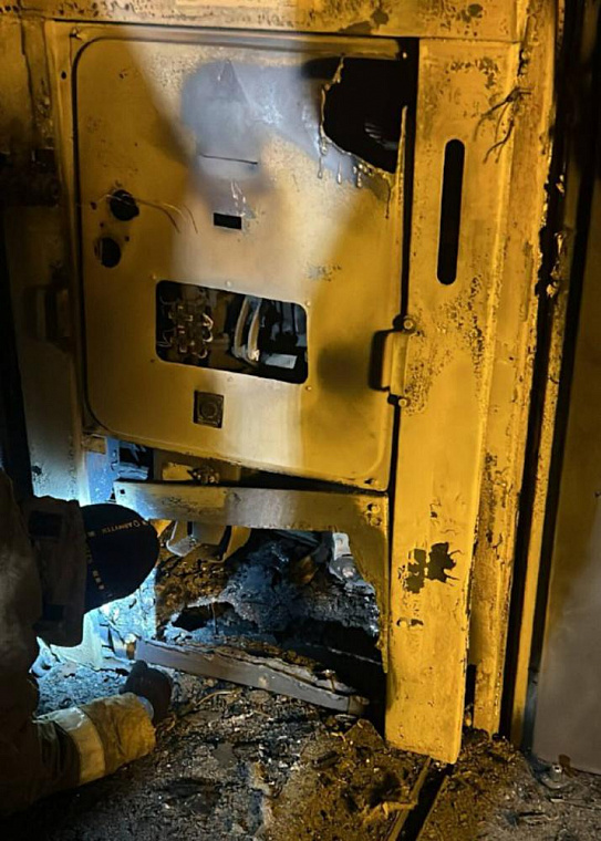 Крыса стала причиной масштабного отключения электричества в Усолье‑Сибирском