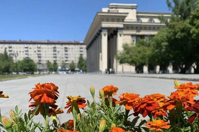 В Новосибирске планируют высадить 400 тысяч цветов этим летом