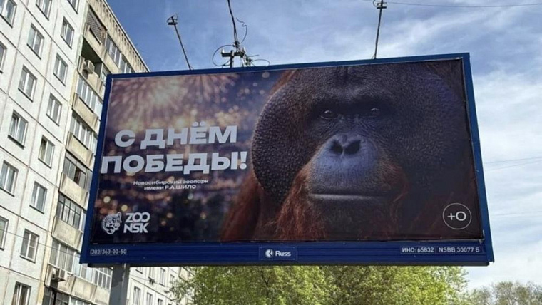 Прокуратура и Роскомнадзор проверят баннеры новосибирского зоопарка с орангутаном к 9 Мая