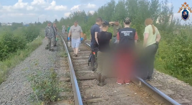 Пятилетнюю девочку, пропавшую с матерью в Ачинске, нашли мёртвой