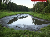 Следком возбудил уголовное дело из-за гибели озера в томском поселке Мирном