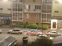 Медведь устроил «забег» в Кемерово