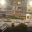 Медведь устроил «забег» в Кемерово