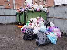 Абакан рискует утонуть в мусоре: в половине города остановлен вывоз отходов