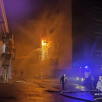 Пожарные локализовали возгорание на заводе по производству плит в Томске на площади в 3 тысячи кв.м