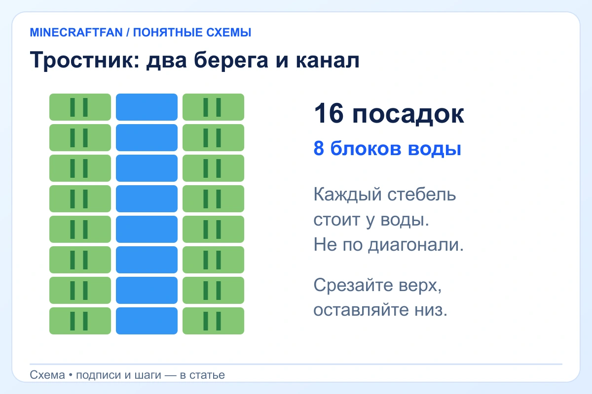 Вид сверху на канал воды и два ряда сахарного тростника по берегам