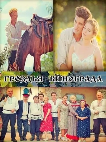Гроздья винограда (1-24 серии из 24) (2016)